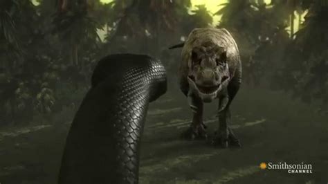 Titanoboa vs anaconda - zikmoo