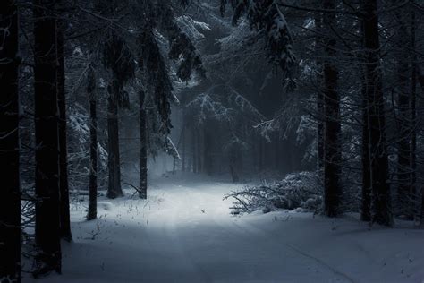 Dark Snowy Forest Wallpapers - Top Free Dark Snowy Forest Backgrounds ...