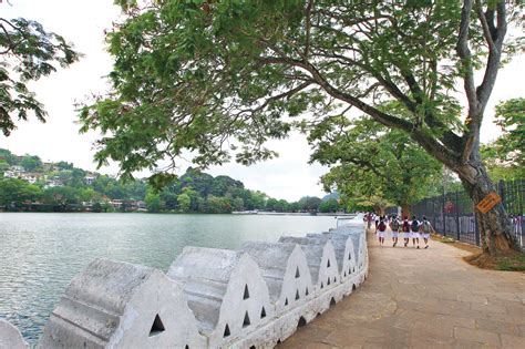 Kandy Lake | Art in Kandy, Sri Lanka