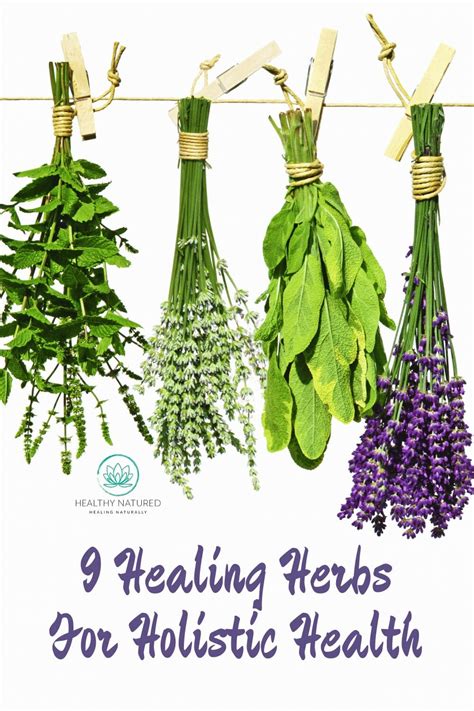 9 Healing Herbs For Your Holistic Health Best Home Remedies