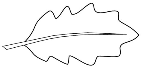 Free Leaf Outline Cliparts, Download Free Leaf Outline Cliparts png ...