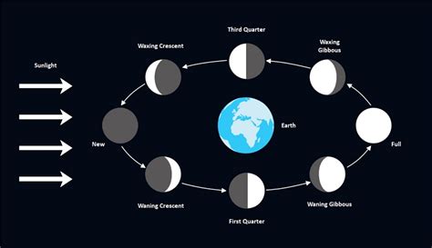 A Guide to Understand Moon Phases with Diagram | EdrawMax Online