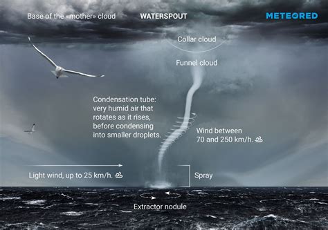 Waterspout Vs. Tornado