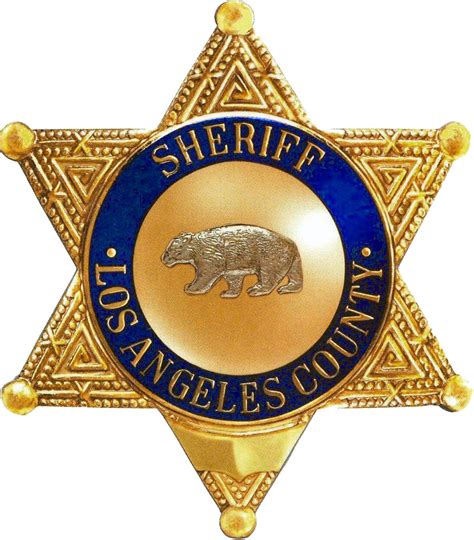 New sheriff in town: A look at 7 potential successors to LA Sheriff Lee ...