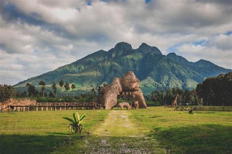 History of Volcanoes National Park | Rwanda Safari Tours