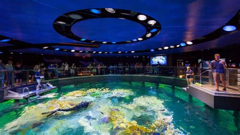 New England Aquarium Giant Ocean Tank - CambridgeSeven