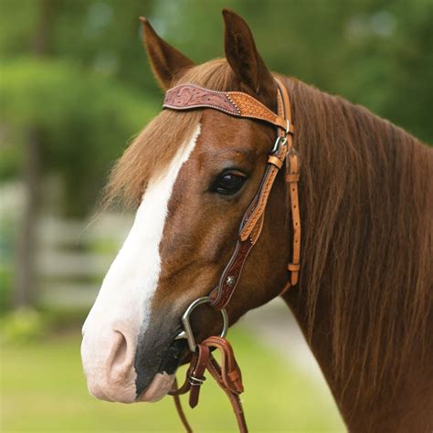 Double S Double Tooled Browband Bridle in New Products 2016 at ...