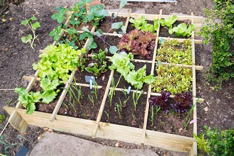 Square Foot Gardening Layout Examples | Fasci Garden