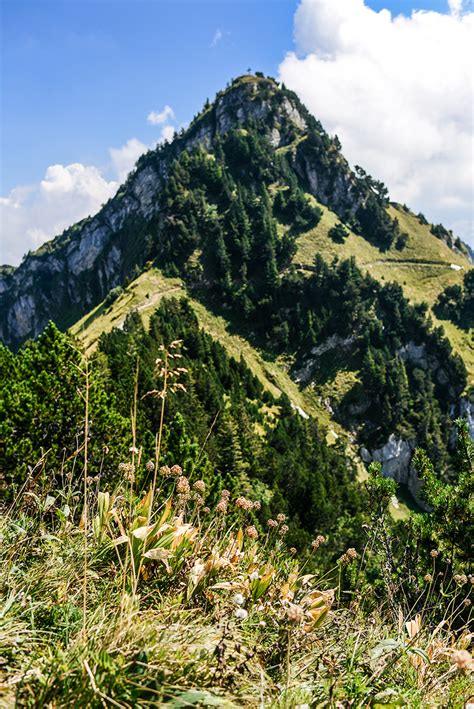 my first big hike in switzerland - The Style Scribe