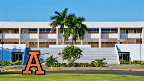 ¿Dónde estudiar la universidad si recién llegaste a Mérida? - Babelgroup