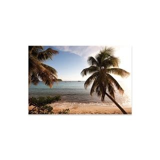 Palm Trees On Beach At Sunset, Culebra Island, Puerto Rico Print On ...