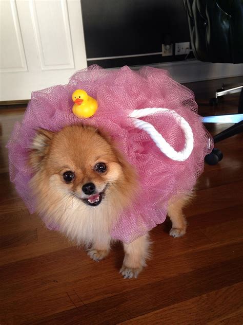 Poofie Loofah Puppy ~ complete with rubber duck! | via Fuzzy Today ...