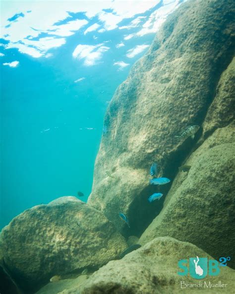 Kayak Diving Lake Malawi by Brandi Mueller