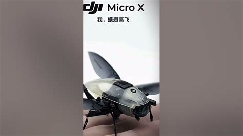 DJI Micro X - YouTube