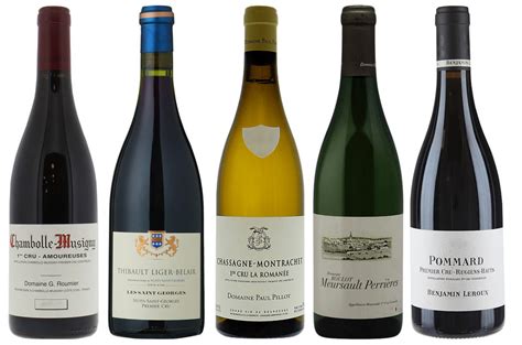 Best Burgundy 2020 premier cru wines - Decanter