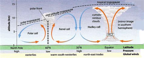 Horse Latitudes are Real! - Science News