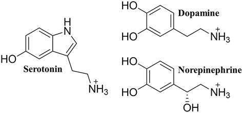 Frontiers | Monoamine transporters: insights from molecular dynamics ...