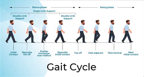 introduction to gait analysis - auptimo