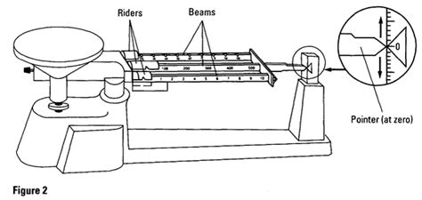 Triple Beam Balance Blank Diagram