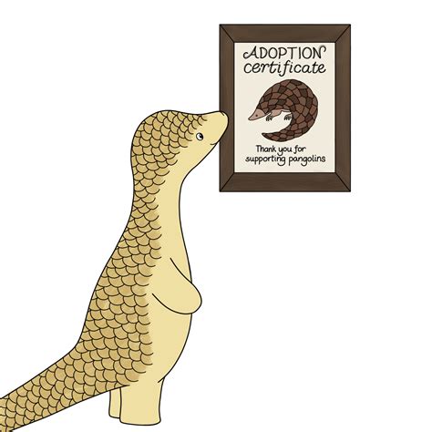 Adopt a pangolin | Rachel L Shaw