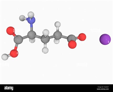 Glutamate Structure