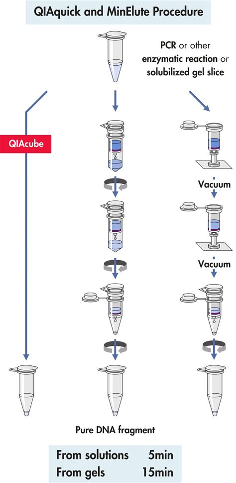 QIAquick PCR Purification Kit