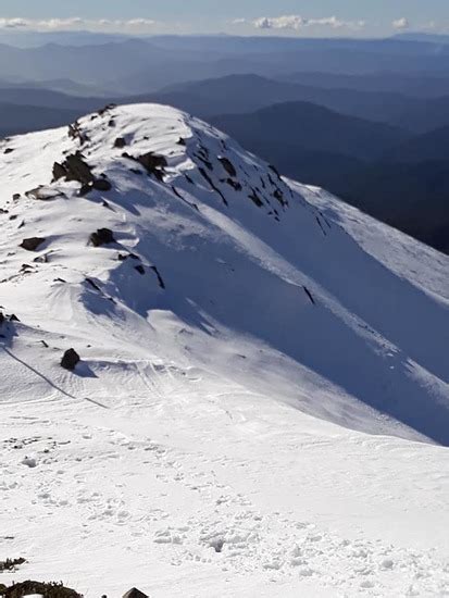 Mount Bogong Mountain Information