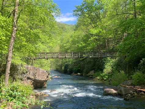 Savage River Bridge Loop - Garrett Trails