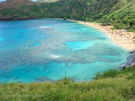 Hanauma Bay Snorkeling Secrets! Your Insider Guide to Oahu Snorkeling!