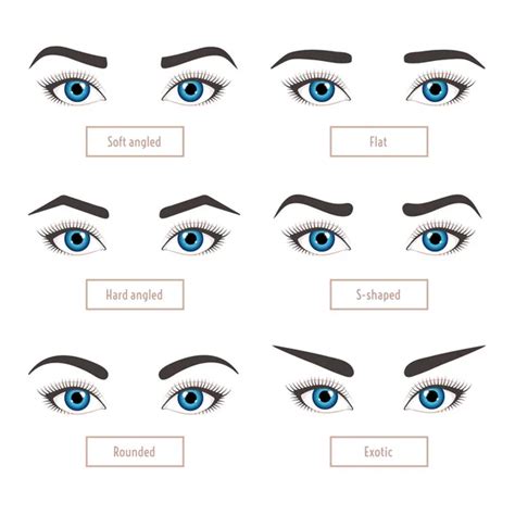 Flat shaped eyebrows Vector Art Stock Images | Depositphotos