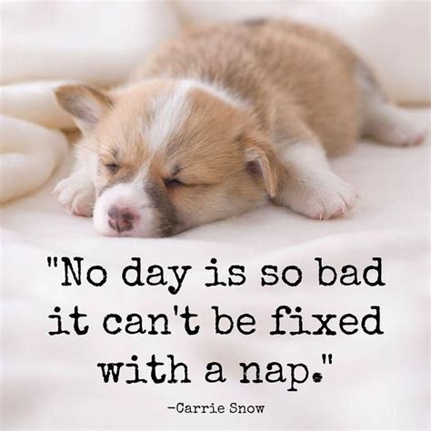 No day is so bad it can't be fixed with a nap. Sleep quotes on… | Nap ...