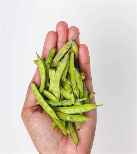 ग्वार फली के फायदे और नुकसान – Guar Gum (Cluster Beans) Benefits and ...