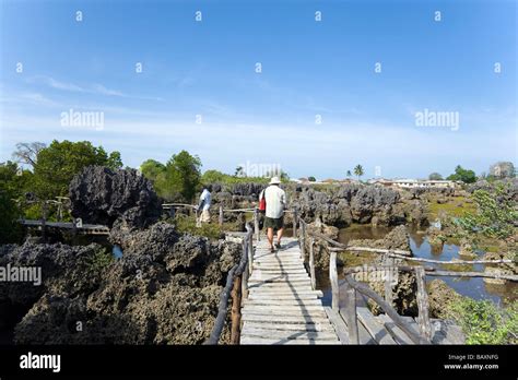 Tourists visiting Coral Garden, Wasini Island, Coast, Kenya Stock Photo ...