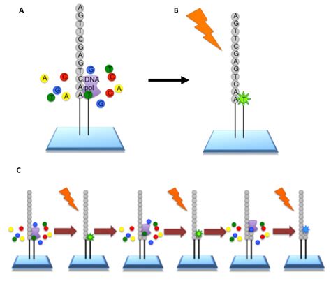 Chapter 5: Investigating DNA – Chemistry