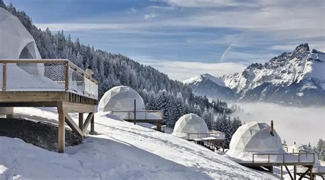 Winter Dome Solution: Cozy & Spacious | Shelter Dome