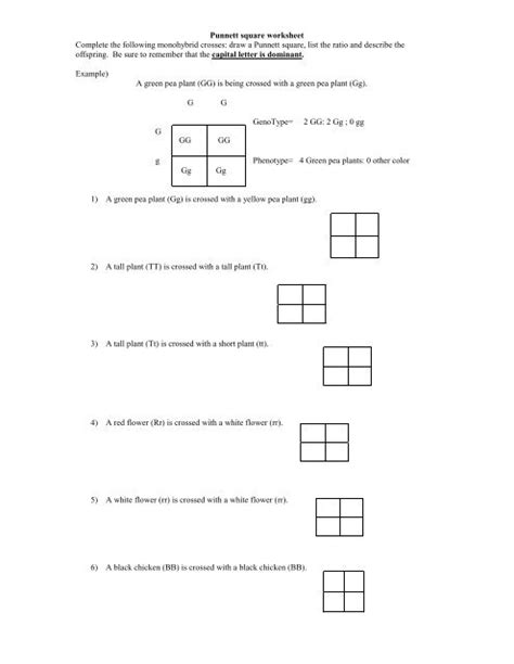 Punnett square worksheet