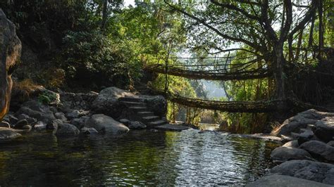 Living Root Bridge Tour - Kamakshi Tours