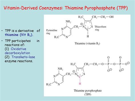 Enzymes: Structure, Properties and Mechanisms of Activity - ppt download