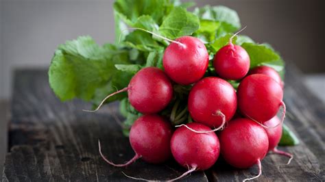 ARCHAEOLOGY OF FRUITS & VEGETABLES - Red Radish - Chef's Mandala