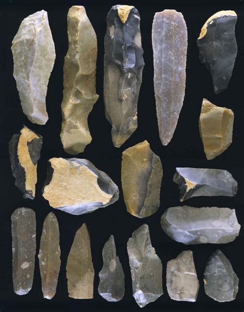 Paleolithic Weapons