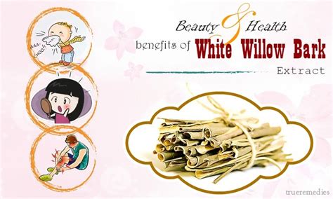 8 Beauty & Health Benefits Of White Willow Bark Extract