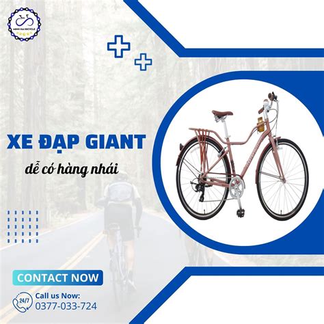 8 Điều Bạn Chưa Biết Về Xe Đạp Thể Thao Giant - MINH HẢI