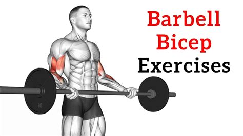 Barbell Bicep Exercises & Workout For Mass & Strength