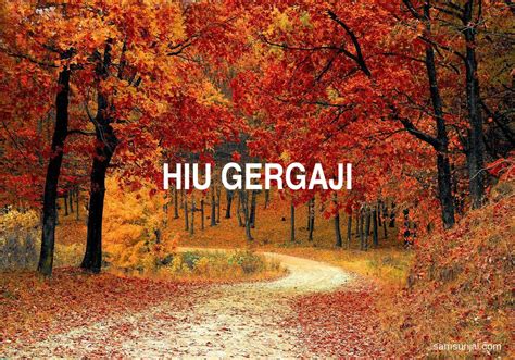 Arti Kata Hiu Gergaji - Kamus Besar Bahasa Indonesia (KBBI ...