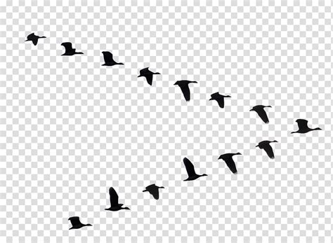 flying geese silhouette clipart 10 free Cliparts | Download images on ...