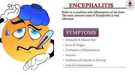 Encephalitis | Nursing school survival, Medical surgical nursing ...