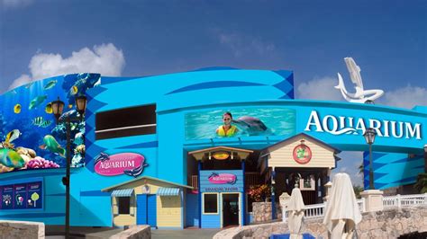 Interactive Aquarium Cancun: Premium Package - Cancun | Project Expedition