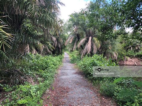 Bac Lieu Bird Sanctuary – Where to Watch Bird in Mekong Delta