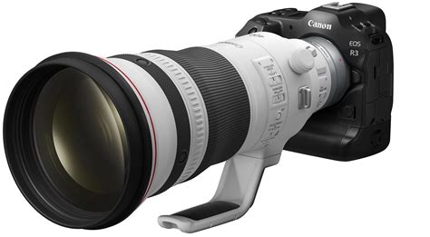 Canon Teases more Photos and Specifications about the EOS R3 - Exibart ...