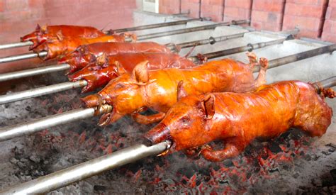 View Special Lechon Png - Tong Kosong